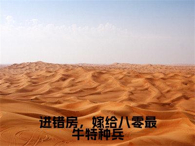小说（进错房，嫁给八零最牛特种兵）林晚夏江肆年全文阅读-进错房，嫁给八零最牛特种兵（林晚夏江肆年）老书虫书荒推荐热点小说