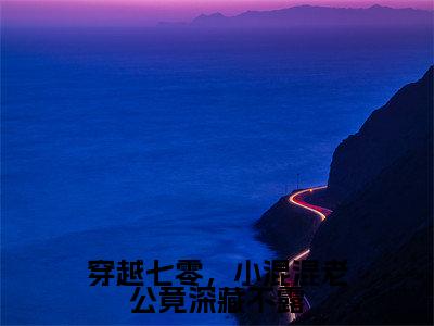 苏写秋韩振宇穿越七零，小混混老公竟深藏不露小说全文免费阅读_苏写秋韩振宇（穿越七零，小混混老公竟深藏不露）最新章节列表笔趣阁