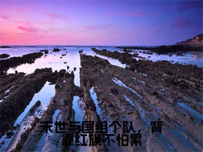 宁珂小说在线阅读全文无弹窗大结局_末世与国组个队，背靠红旗不怕累小说免费最新章节列表