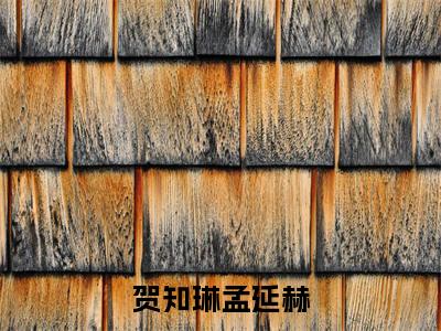 贺知琳孟延赫（孟延赫贺知琳）小说全文免费阅读完整版-贺知琳孟延赫免费在线阅读大结局（孟延赫贺知琳）