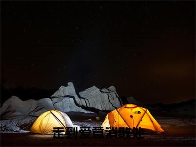 走到爱意消散处（释允婉）小说全文免费阅读完整版-走到爱意消散处免费在线阅读大结局（释允婉）