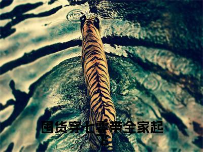 囤货穿七零带全家起飞「精彩小说」无弹窗阅读宋晚晚大结局阅读