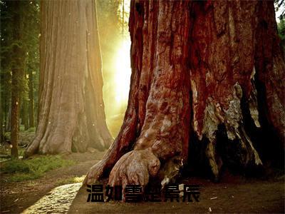 温如雪楚景辰（楚景辰温如雪）全文免费阅读无弹窗大结局_温如雪楚景辰最新章节列表-笔趣阁楚景辰温如雪