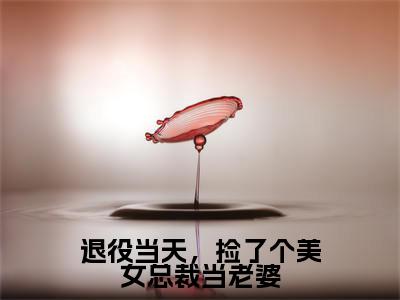 （楚飞后续+全集）退役当天，捡了个美女总裁当老婆（楚飞）小说小说全集楚飞无删减在线阅读