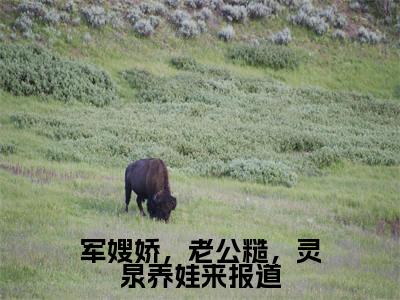 主角苏浅浅小说军嫂娇，老公糙，灵泉养娃来报道小说全文免费阅读