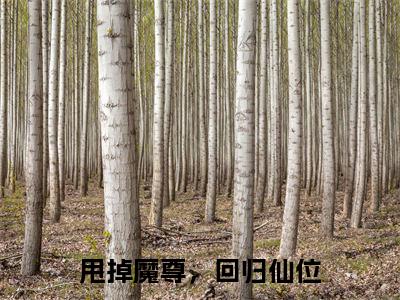 甩掉魔尊,回归仙位(玉泽隋年)全文免费阅读无弹窗大结局_甩掉魔尊,回归仙位全文免费阅读_笔趣阁