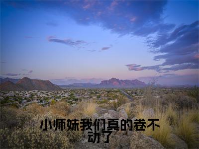 小师妹我们真的卷不动了（凤倾染）全文在线阅读无弹窗大结局_凤倾染免费阅读全文大结局