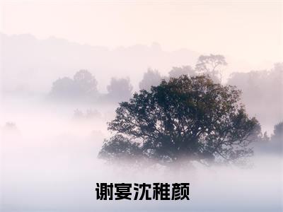 谢宴沈稚颜（谢宴沈稚颜）全文免费阅读_（谢宴沈稚颜）最新章节小说免费阅读（谢宴沈稚颜）