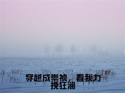 穿越成崇祯，看我力挽狂澜全文免费阅读无弹窗大结局_（穿越成崇祯，看我力挽狂澜阅读无弹窗）崇祯最新章节列表_笔趣阁（崇祯）