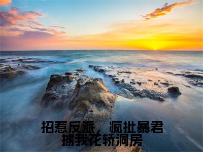 招惹反派,疯批暴君掳我花轿洞房(姬慎林立夏)全文免费阅读无弹窗大结局_(姬慎林立夏免费阅读全文大结局)最新章节列表