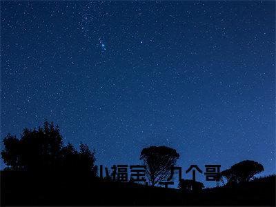 小久儿小说全文免费阅读（锦鲤小福宝：九个哥哥宠上天）全文免费阅读无弹窗_小久儿小说全文免费阅读_笔趣阁