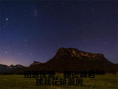 招惹反派,疯批暴君掳我花轿洞房小说好看吗-招惹反派,疯批暴君掳我花轿洞房姬慎林立夏热门小说大结局阅读