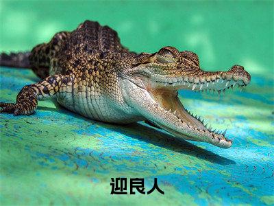 霍阿迎迎良人在线小说-迎良人全文无删减版阅读