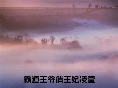 霸道王爷俏王妃凌萱小说在线阅读-主角叫凌萱的小说(霸道王爷俏王妃凌萱)完整版免费阅读全文