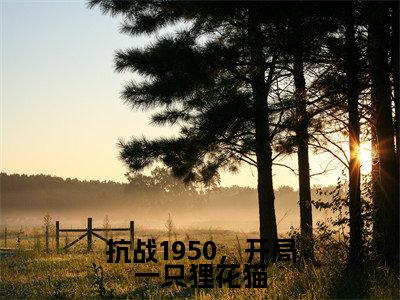 抗战1950,开局一只狸花猫全集章节小说免费阅读完整版(李诺一)-李诺一小说免费阅读