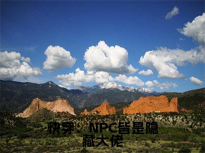 快穿：NPC皆是隐藏大佬小说苏已大结局-精彩美文苏已免费阅读