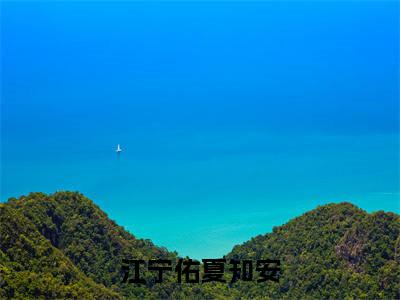 小说《江宁佑夏知安》全文免费阅读无弹窗-江宁佑夏知安小说全文在线赏析