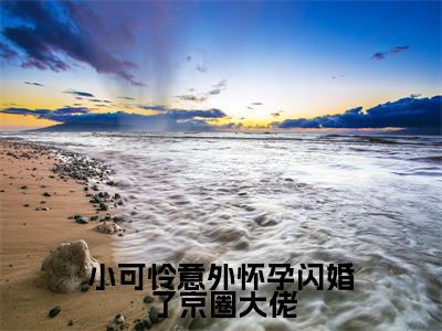 小可怜意外怀孕闪婚了京圈大佬最新热门榜单小说-林妍傅时琛全文无弹窗免费阅读大结局