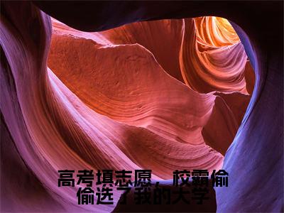 高考填志愿，校霸偷偷选了我的大学（宋想想）全文完整版免费阅读_宋想想高考填志愿，校霸偷偷选了我的大学全文免费阅读