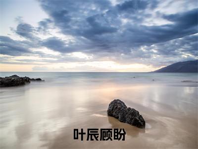 叶辰顾盼热文小说全文阅读-精彩美文顾盼叶辰免费阅读