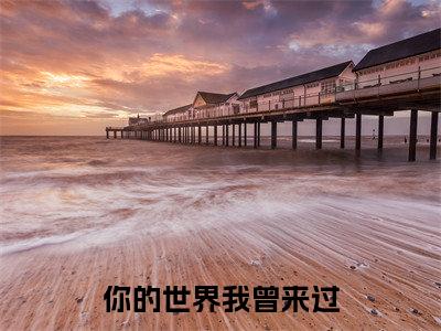 你的世界我曾来过(凌衍舒晴)小说全文免费阅读-你的世界我曾来过(凌衍舒晴)免费在线阅读完整版