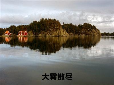 小说（大雾散尽）_阮清槐薄斯珩全文阅读_大雾散尽免费阅读大结局