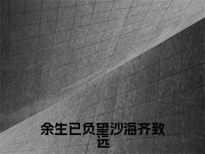 余生已负望沙海齐致远满分热推小说-齐致远余生已负望沙海齐致远小说全本已完结