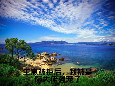 生崽被拒后,我被星际大佬强宠了(陆之恒林简意)全文免费阅读_生崽被拒后,我被星际大佬强宠了免费阅读最新章节列表笔趣阁(陆之恒林简意)