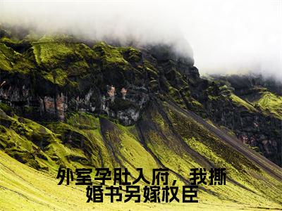 外室孕肚入府,我撕婚书另嫁权臣全文免费阅读无弹窗大结局_(陆淮鹤苏荷完结)外室孕肚入府,我撕婚书另嫁权臣小说最新章节列表