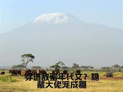 沈之语小说全文无删减-穿进敌蜜年代文？隐藏大佬宠成瘾沈之语小说大结局免费阅读