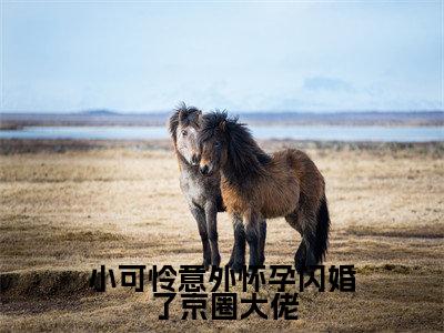 小可怜意外怀孕闪婚了京圈大佬免费阅读(林妍傅时琛)完整版全文全章节阅读(林妍傅时琛免费+番外)