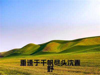 程音音沈青野（重逢于千帆尽头沈青野）全文免费阅读无弹窗_程音音沈青野最新小说_笔趣阁