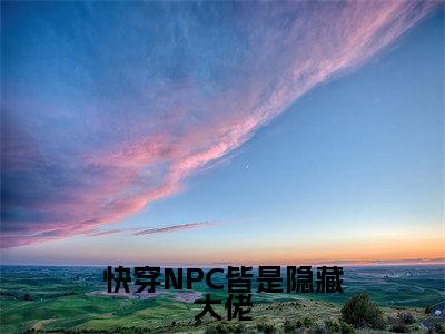 快穿NPC皆是隐藏大佬（苏已）全文免费阅读无弹窗_快穿NPC皆是隐藏大佬（苏已）全文阅读-笔趣阁