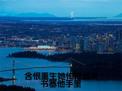 含恨重生她忙把退亲书塞他手里（宋稚）全文免费阅读无弹窗大结局_含恨重生她忙把退亲书塞他手里免费阅读无弹窗