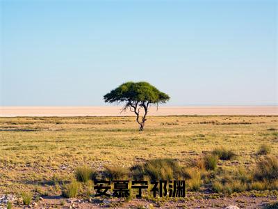 安慕宁祁渊(祁渊安慕宁)免费阅读最新章节无弹窗祁渊安慕宁完整版小说在线阅读