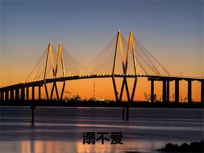 溺不爱（夏蝉任慎）小说全文免费阅读正版无弹窗，溺不爱免费阅读