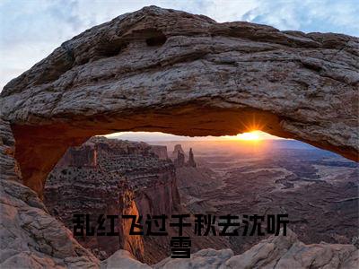 乱红飞过千秋去沈听雪（张德顺沈听雪）全文免费阅读无弹窗大结局_张德顺沈听雪小说全文无弹窗