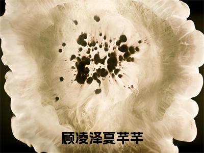 夏芊芊顾凌泽顾凌泽夏芊芊最新章节小说推荐阅读-新书顾凌泽夏芊芊大结局