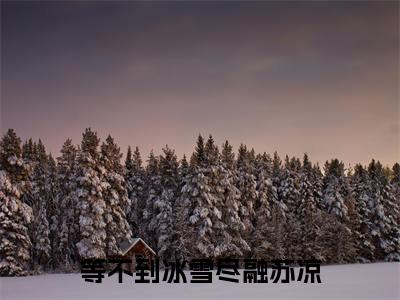 热文（等不到冰雪尽融苏凉）在线阅读-（等不到冰雪尽融苏凉）完整版免费阅读全文最新章节列表_笔趣阁