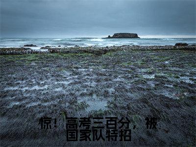 沈桑柠（惊！高考三百分，被国家队特招）全文无弹窗阅读-精彩小说惊！高考三百分，被国家队特招（沈桑柠）