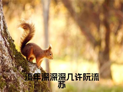 流年深深深几许阮流苏全文免费阅读_(周容川阮流苏免费阅读无弹窗)流年深深深几许阮流苏最新章节列表笔趣阁