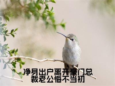净身出户离开豪门总裁老公悔不当初(萧逸)小说小说全集萧逸无删减在线阅读