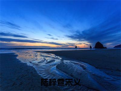 陆梓萱宋义（陆梓萱宋义）高质量小说推荐阅读-最新小说陆梓萱宋义全文阅读