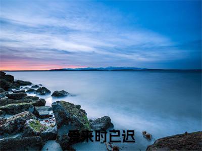 爱来时已迟全文免费完整版-小说爱来时已迟(池霆序梁梦颜)已完结全集大结局