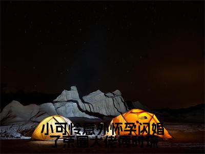 小说小可怜意外怀孕闪婚了京圈大佬傅时琛免费在线阅读-小说主角叫林妍傅时琛的小说完整版免费读全文