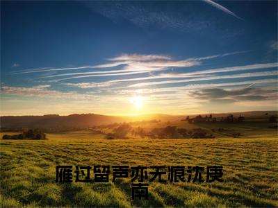 雁过留声亦无痕沈庚南（时雁沈庚南）全文免费阅读无弹窗大结局_（雁过留声亦无痕沈庚南免费阅读）时雁沈庚南无弹窗最新章节列表