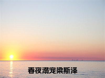 念时悦梁斯泽最新章节(春夜溺宠梁斯泽小说)全文免费阅读无弹窗大结局_春夜溺宠梁斯泽小说免费阅读(念时悦梁斯泽)