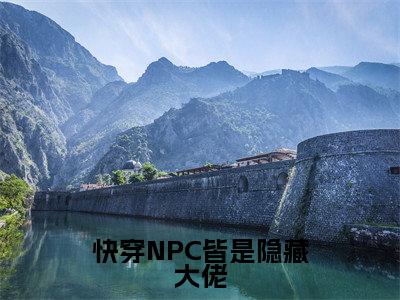 快穿NPC皆是隐藏大佬小说（苏已）全文免费阅读无弹窗大结局_快穿NPC皆是隐藏大佬全文免费完结版阅读（苏已）