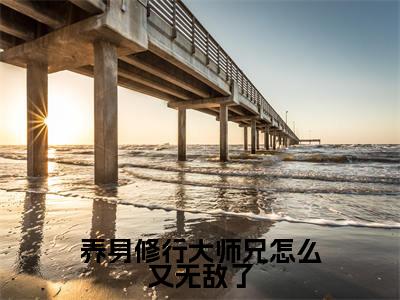 苏阳:养身修行大师兄怎么又无敌了阅读无弹窗大结局_(苏阳阅读无弹窗)最新章节列表_笔趣阁(苏阳)