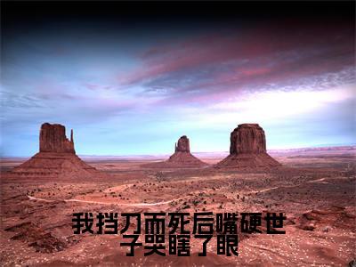 小说宋晚意江长逸全文免费阅读无弹窗大结局-我挡刀而死后嘴硬世子哭瞎了眼在线阅读